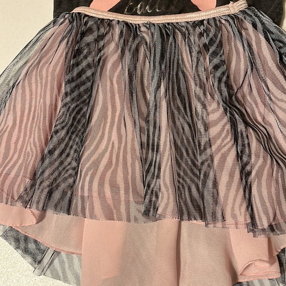 Ballerina tu tu. Gray top, sz 3T, skirt sz 4/5 - Picture 4 of 6